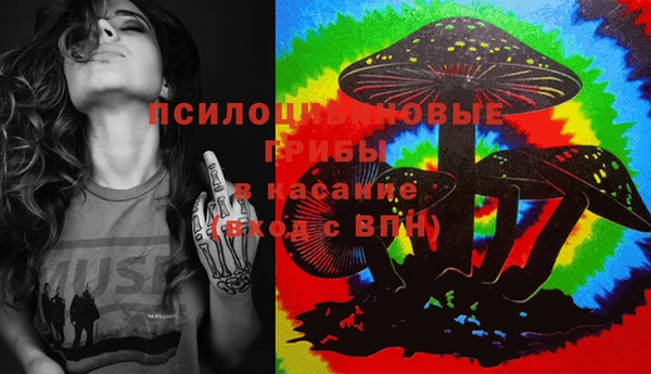 а пвп мука Абаза