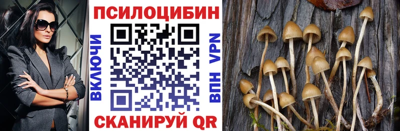 Псилоцибиновые грибы MAGIC MUSHROOMS  Новое Девяткино 